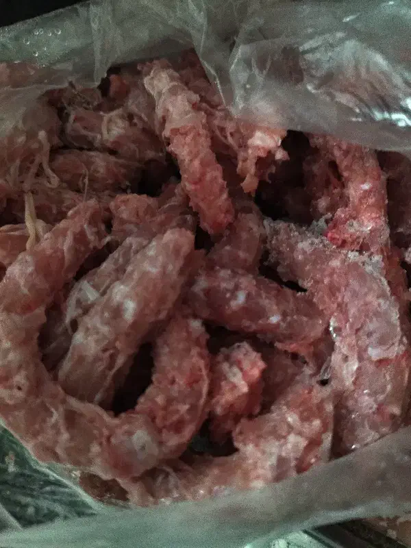 غذای سگ|لوازم جانبی حیوانات|مشهد, رضاییه|دیوار