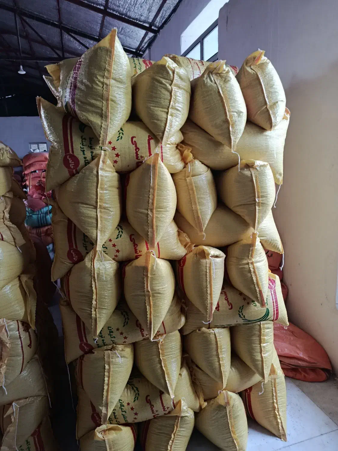 سر لاشه هاشمی کشاورزی اعلا|عمدهفروشی|تالش, جوکندان|دیوار