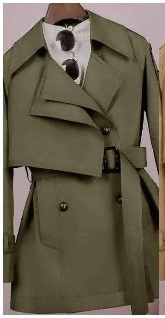 بارونی عاطفه|لباس|لاشار, |دیوار