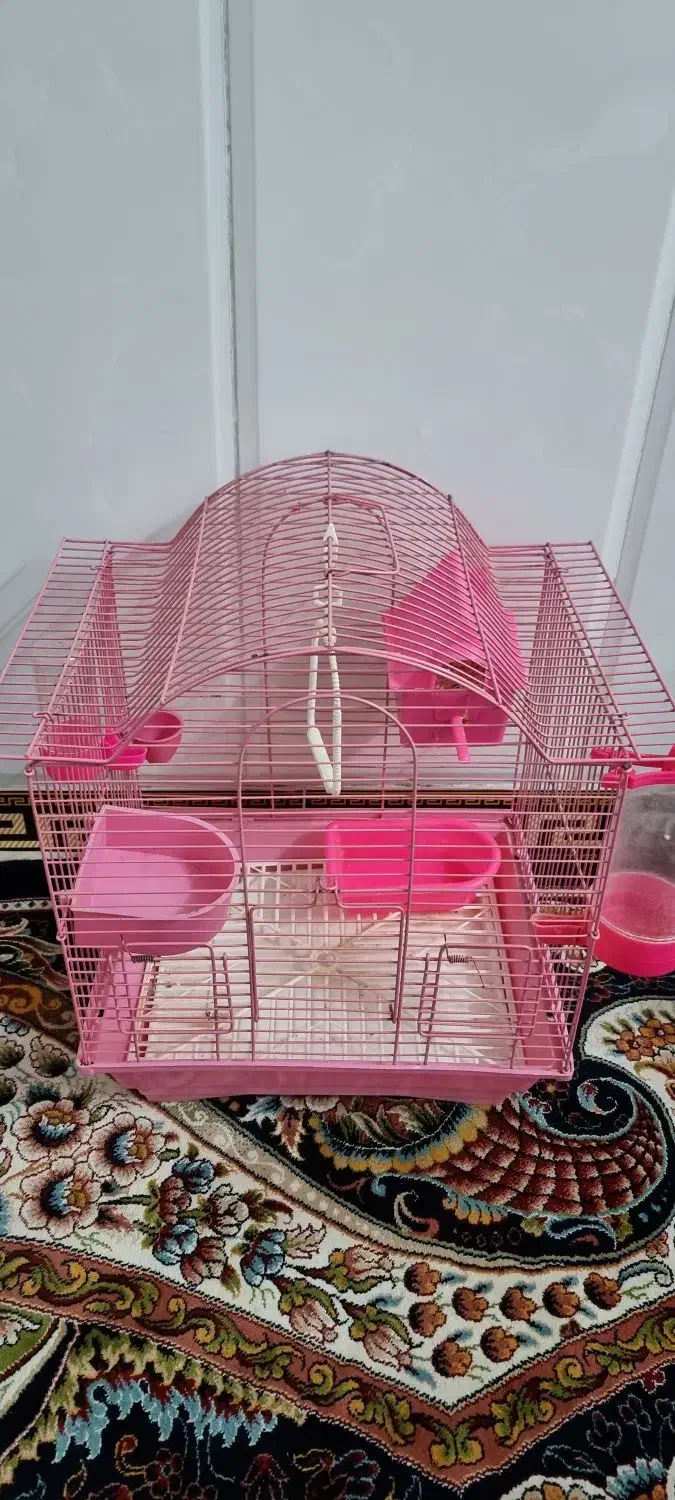 قفس مسافرتی تاشو|لوازم جانبی حیوانات|نسیمشهر, |دیوار