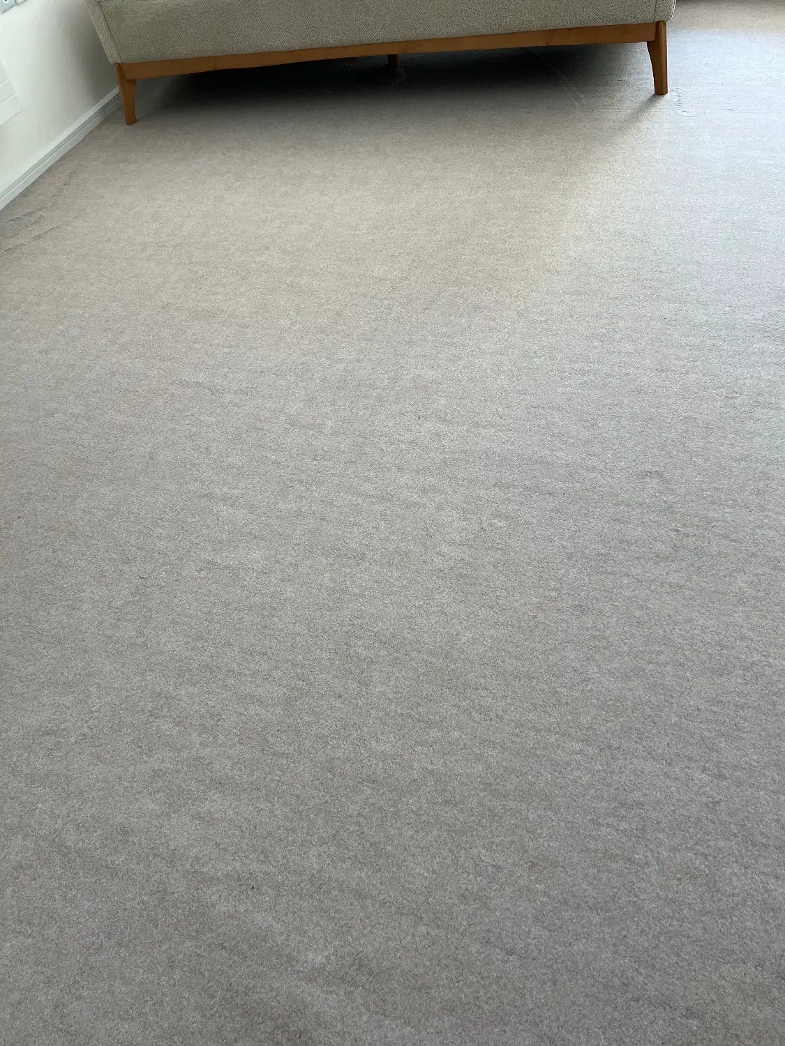 موکت نو نو|موکت|شیراز, سیلو|دیوار