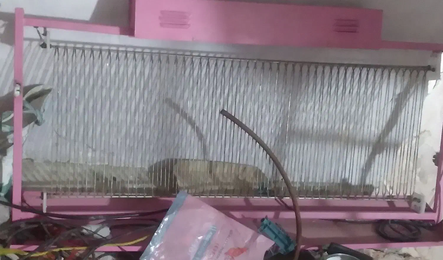 مگس کش برقی|سایر لوازم برقی|سبزوار, پاسداران|دیوار