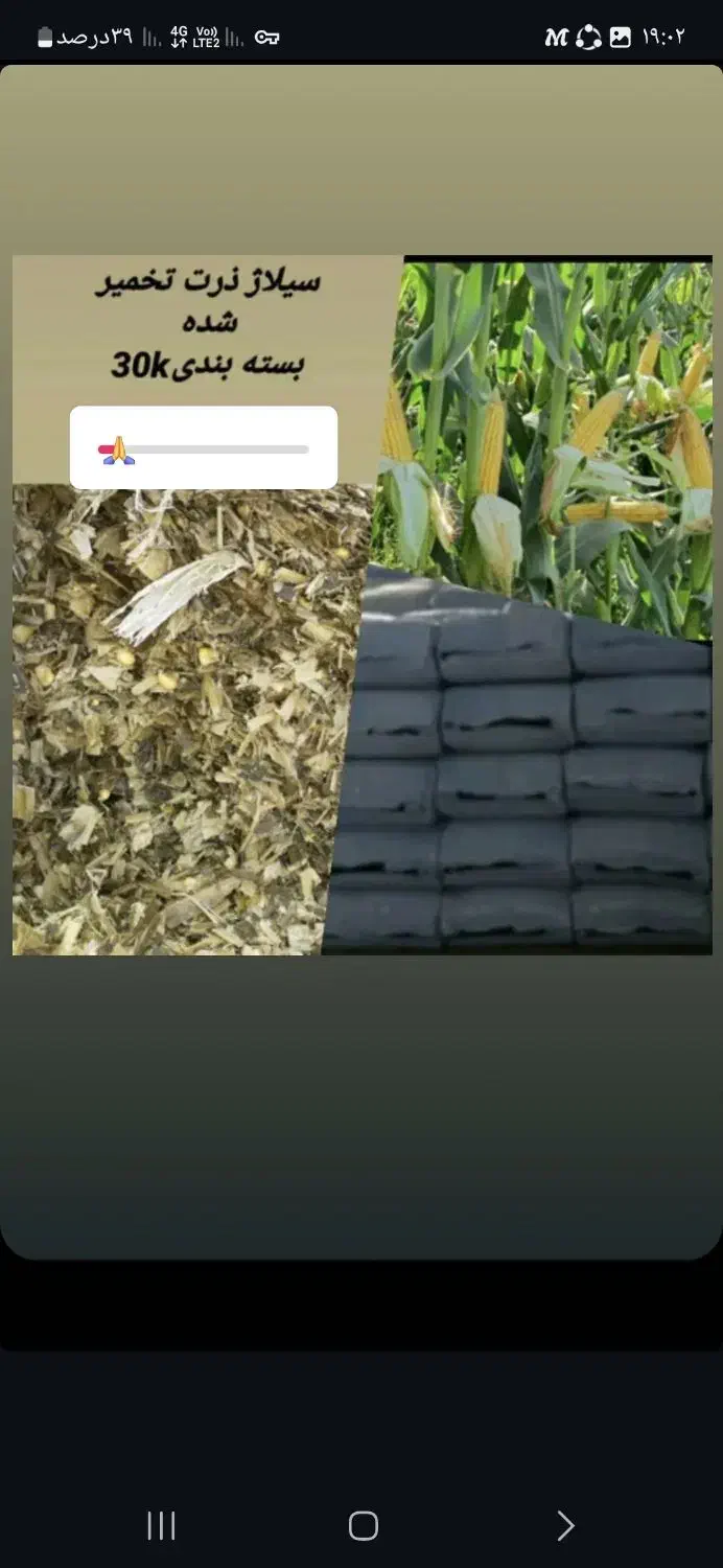 ذرت علوفه ی بسته بندی شده ی ۳۰کیلوی|لوازم جانبی حیوانات|سارال, |دیوار