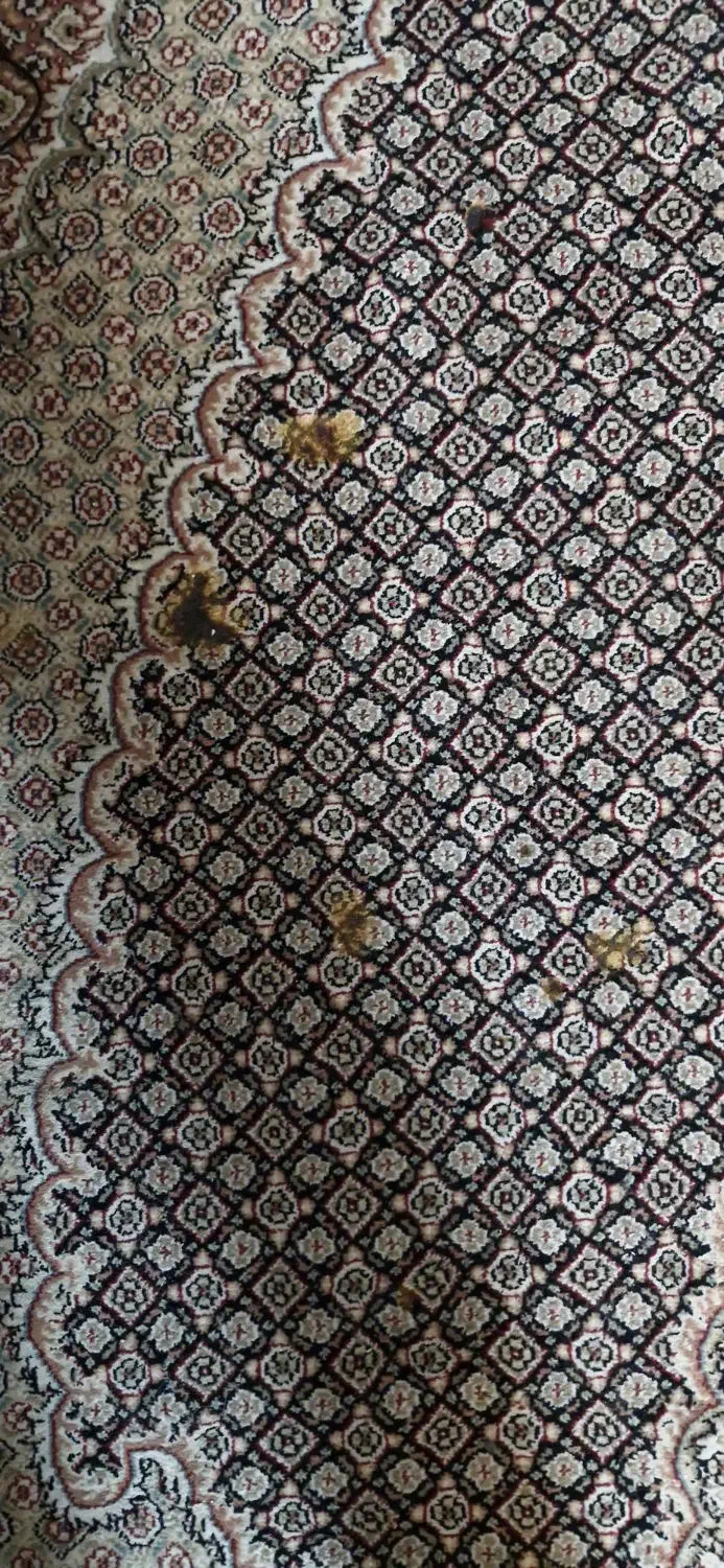 دو عدد فرش ۹ متری ست|فرش|تهران, جنت‌آباد مرکزی|دیوار