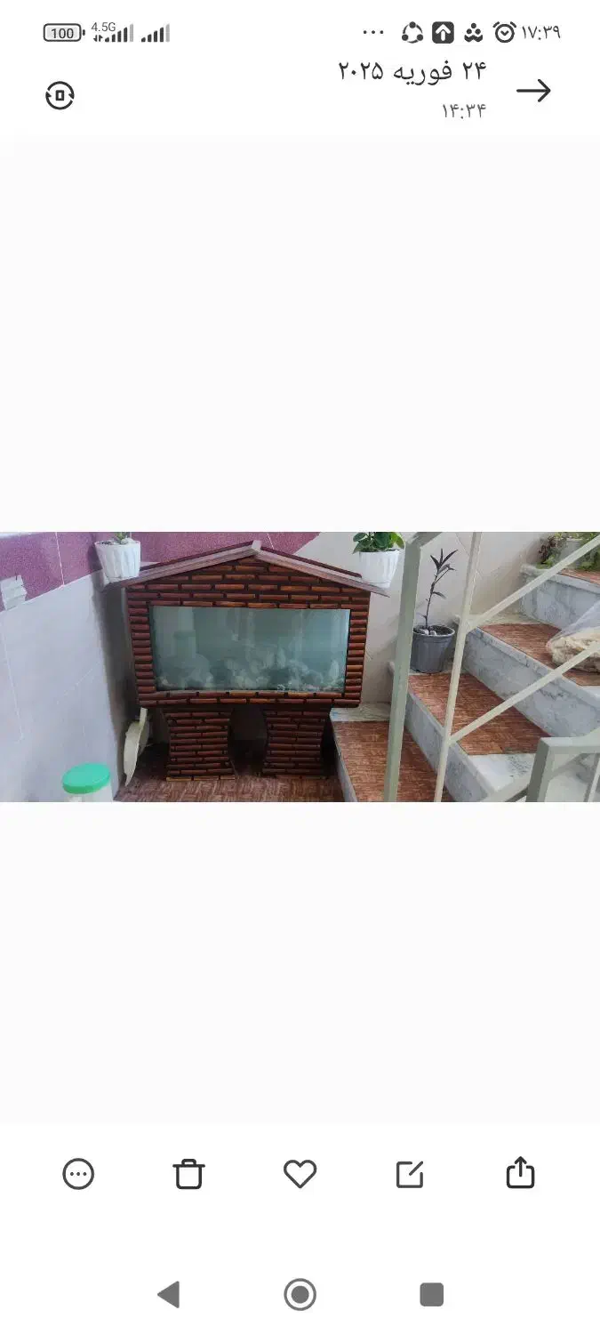 آکواریم چوبی بسیار زیبا|ماهی|زنجان, |دیوار