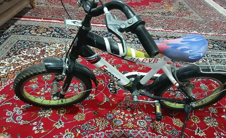 دوچرخه درحد نو|دوچرخه، اسکیت، اسکوتر|شیراز, مسلم|دیوار