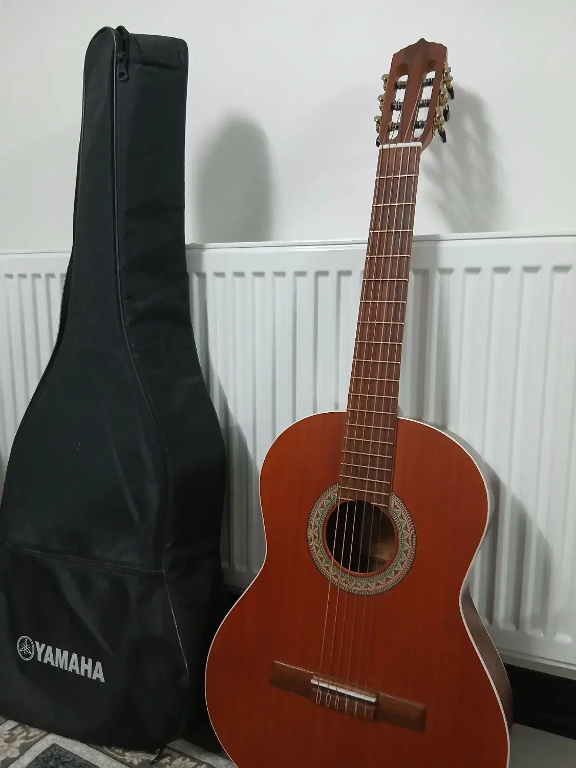 گیتار M6 پارس|گیتار، بیس، امپلیفایر|تهران, مشیریه|دیوار