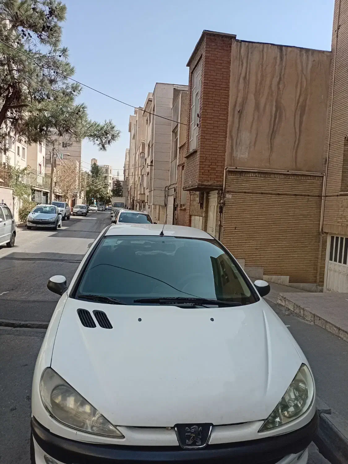 ۲۰۶ تیپ ۲ مدل ۹۴|خودرو سواری و وانت|تهران, تهرانپارس غربی|دیوار