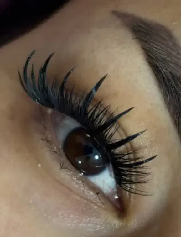 مدل مژه|خدمات آرایشگری و زیبایی|شازند, |دیوار