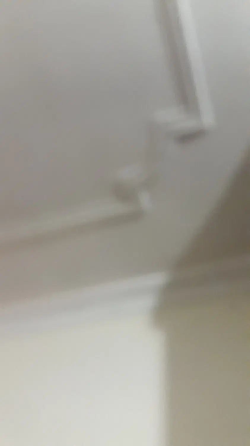 گچ کاری|استخدام معماری، عمران و ساختمانی|یزد, |دیوار