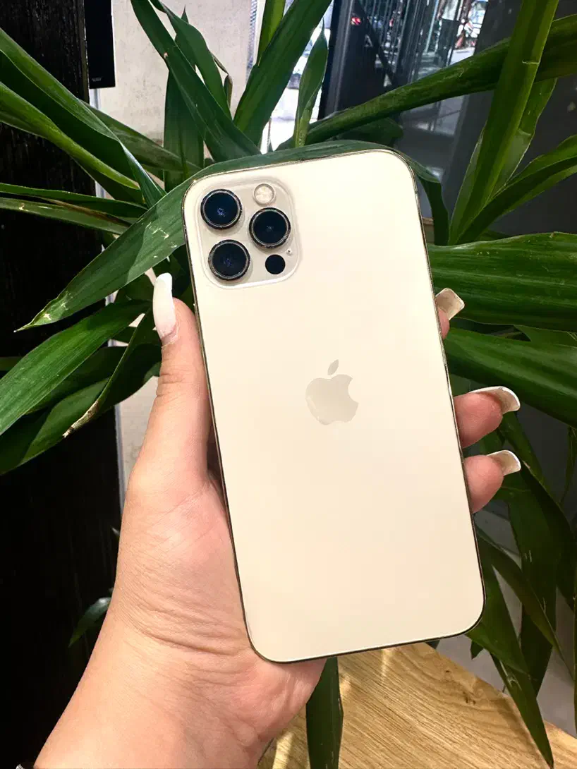 اپل iphone12pro|موبایل|تهران, گیشا|دیوار