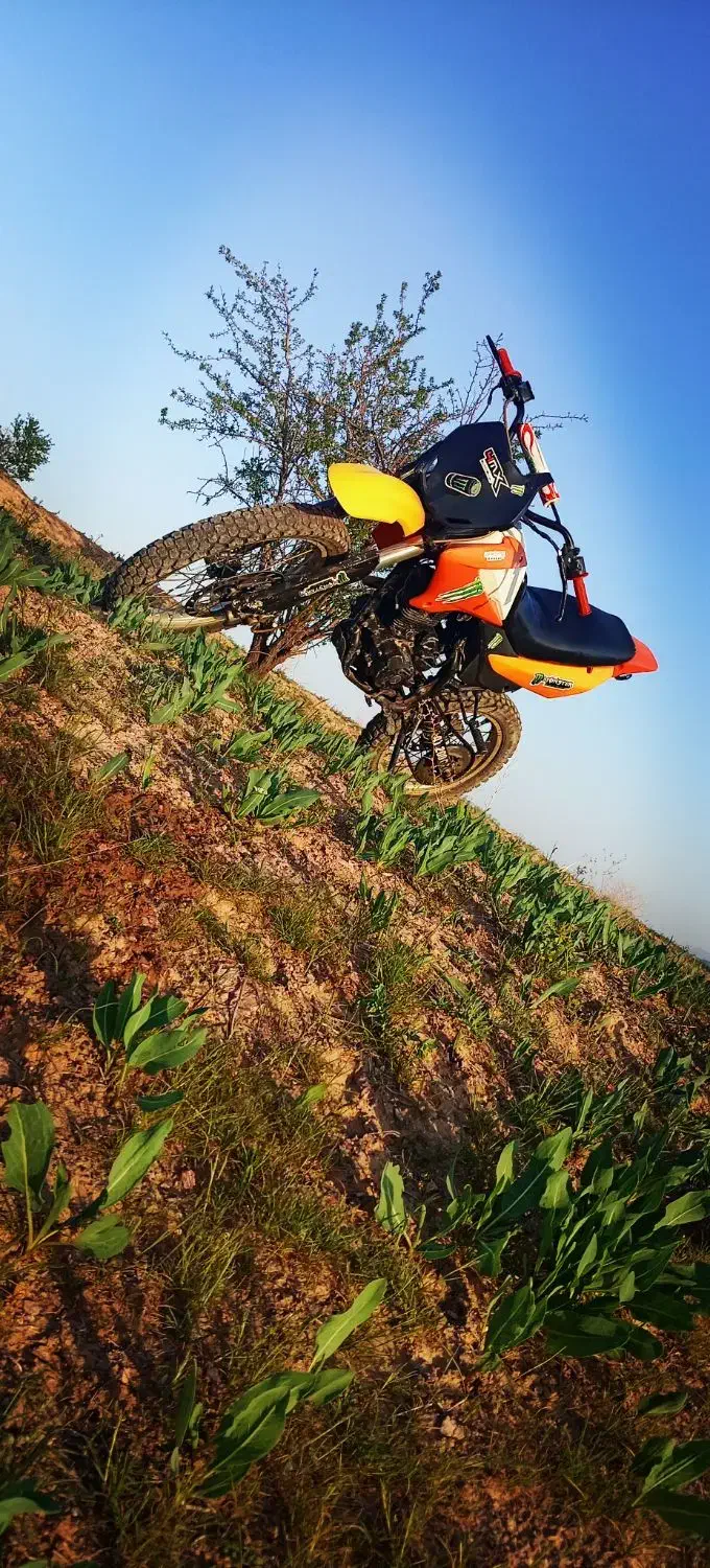 متور فلات|موتورسیکلت|تایباد, |دیوار