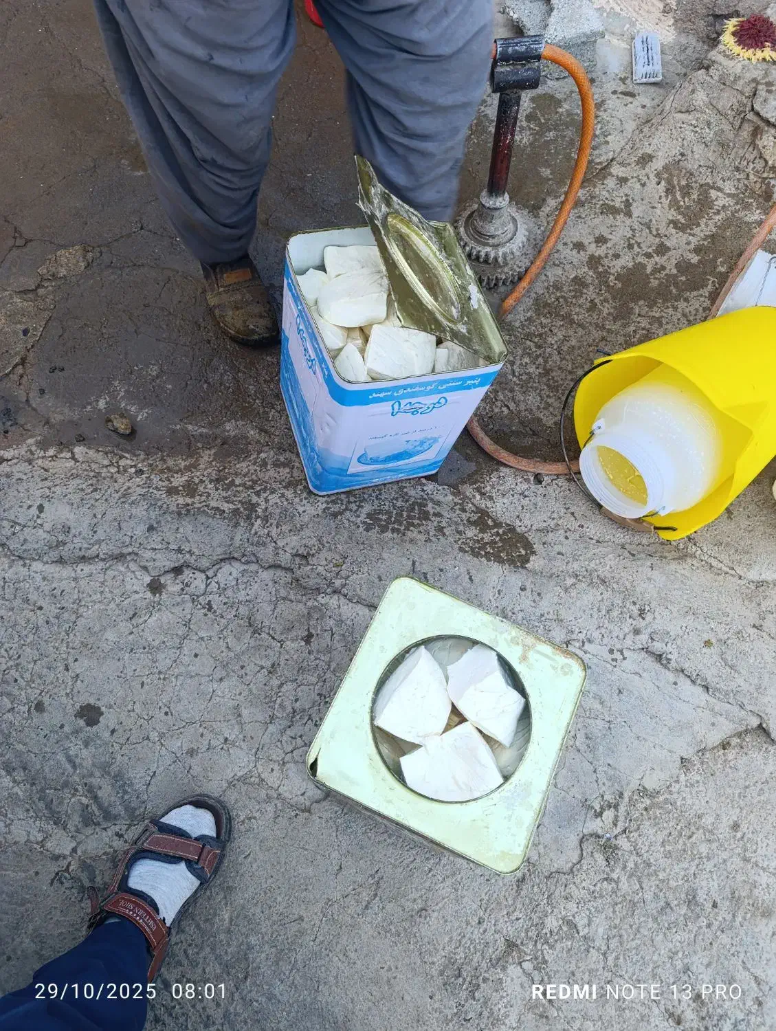 پنیر محلی درجه یک گاوی|خوردنی و آشامیدنی|لیلان, |دیوار