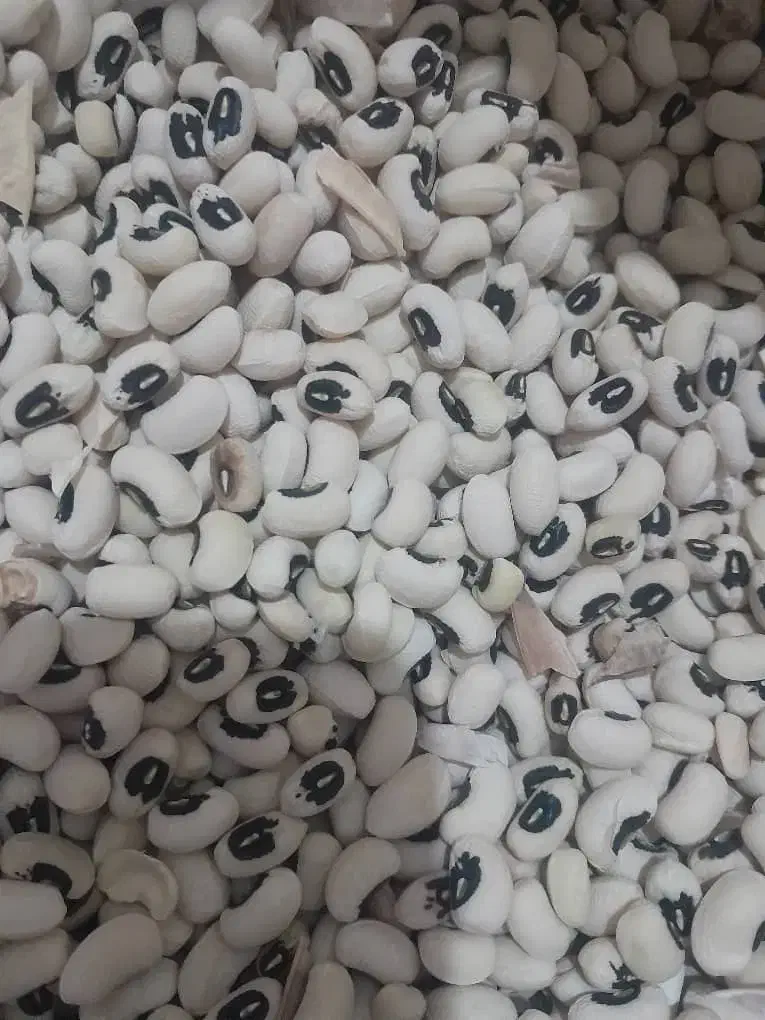 ماش|خوردنی و آشامیدنی|ایلام, |دیوار