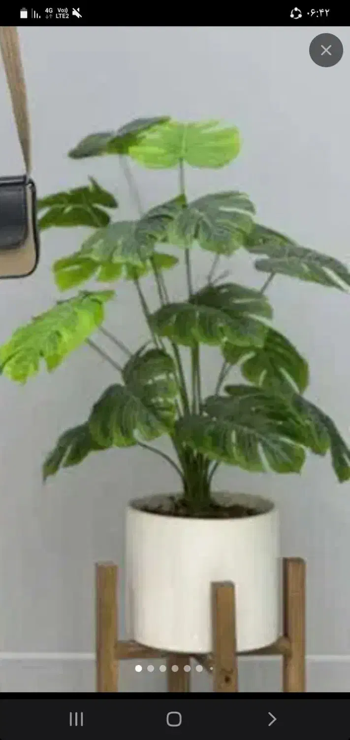 درختچه  مصنوعی|گل مصنوعی|ساوه, |دیوار