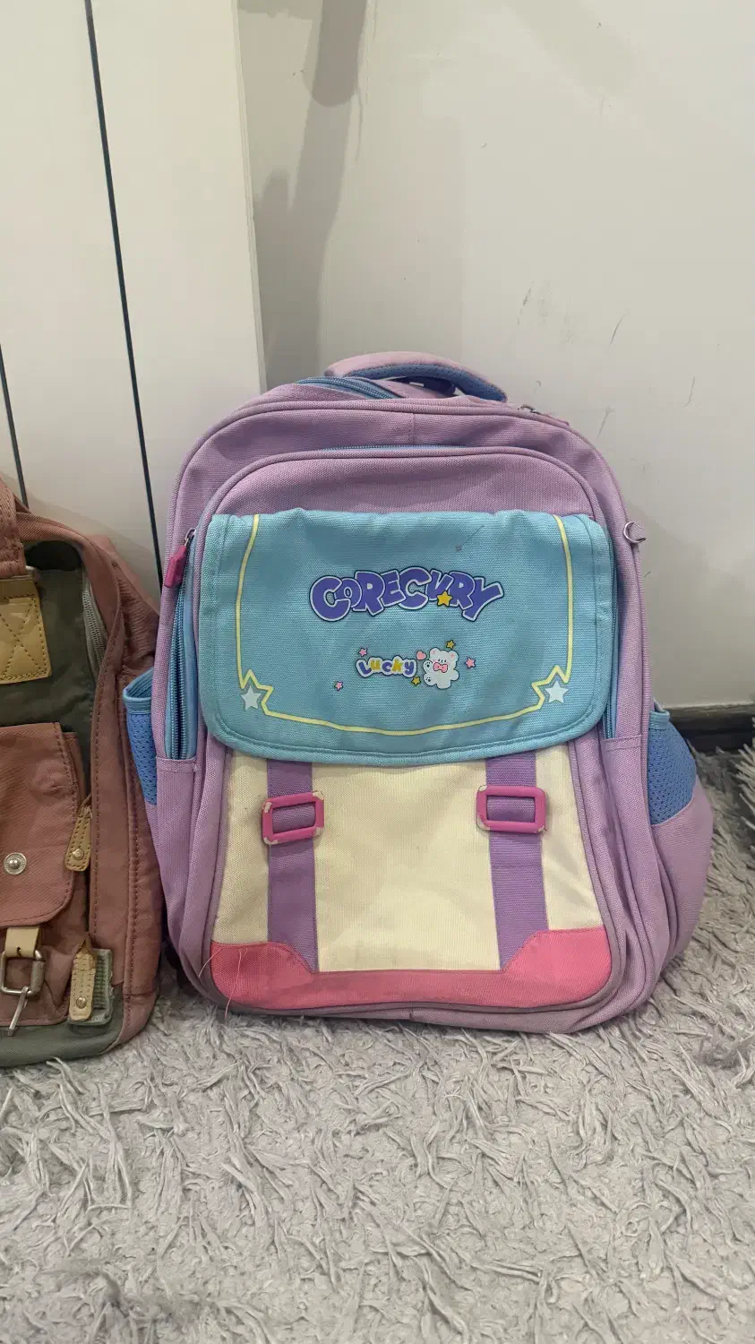 کوله پشتی مدرسه|کیف، کفش، کمربند|گنبد کاووس, |دیوار