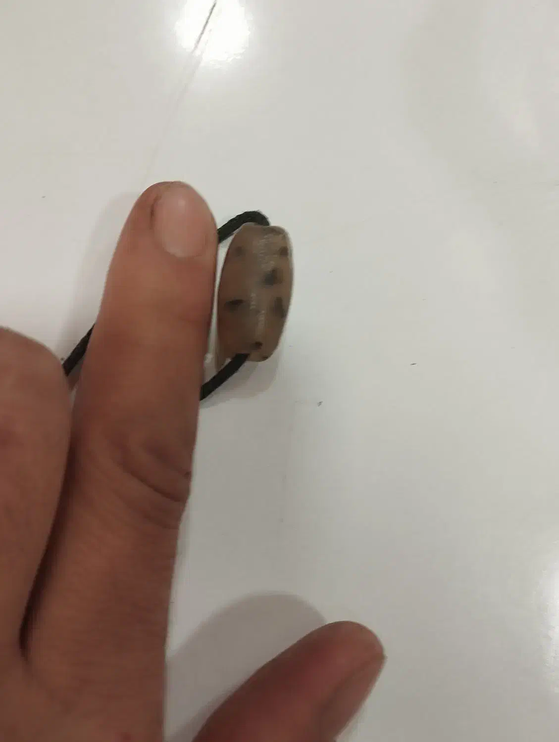 مهره یهودی موکل دار.|کلکسیون اشیاء عتیقه|ایلام, |دیوار