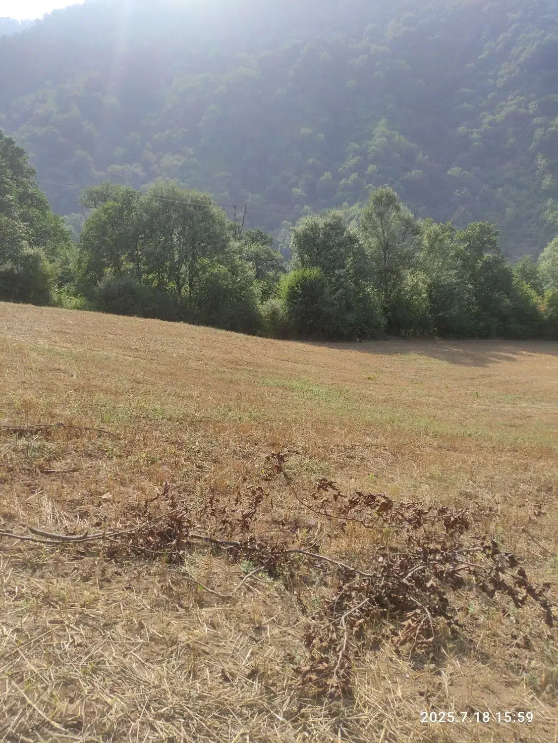 فروش زمین باغی در ریگ چشمه|فروش زمین و ملک کلنگی|مینودشت, |دیوار