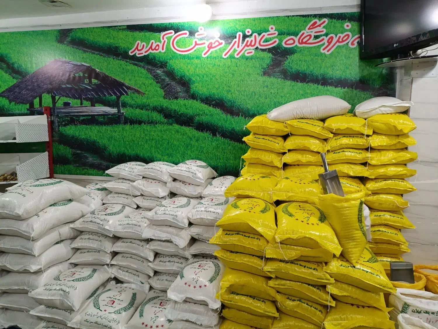 انواع برنج ایرانی|خوردنی و آشامیدنی|قدس, شهرقدس|دیوار