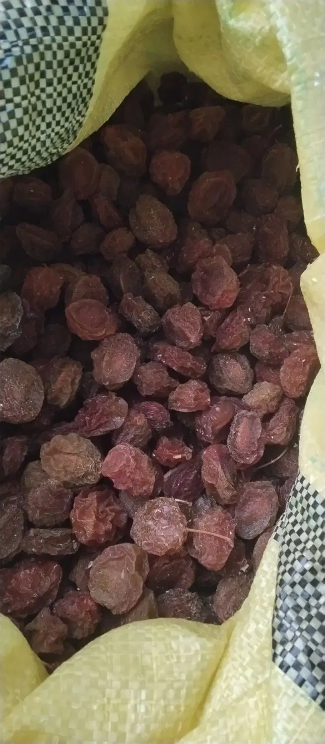 آلو|خوردنی و آشامیدنی|آبگرم, |دیوار