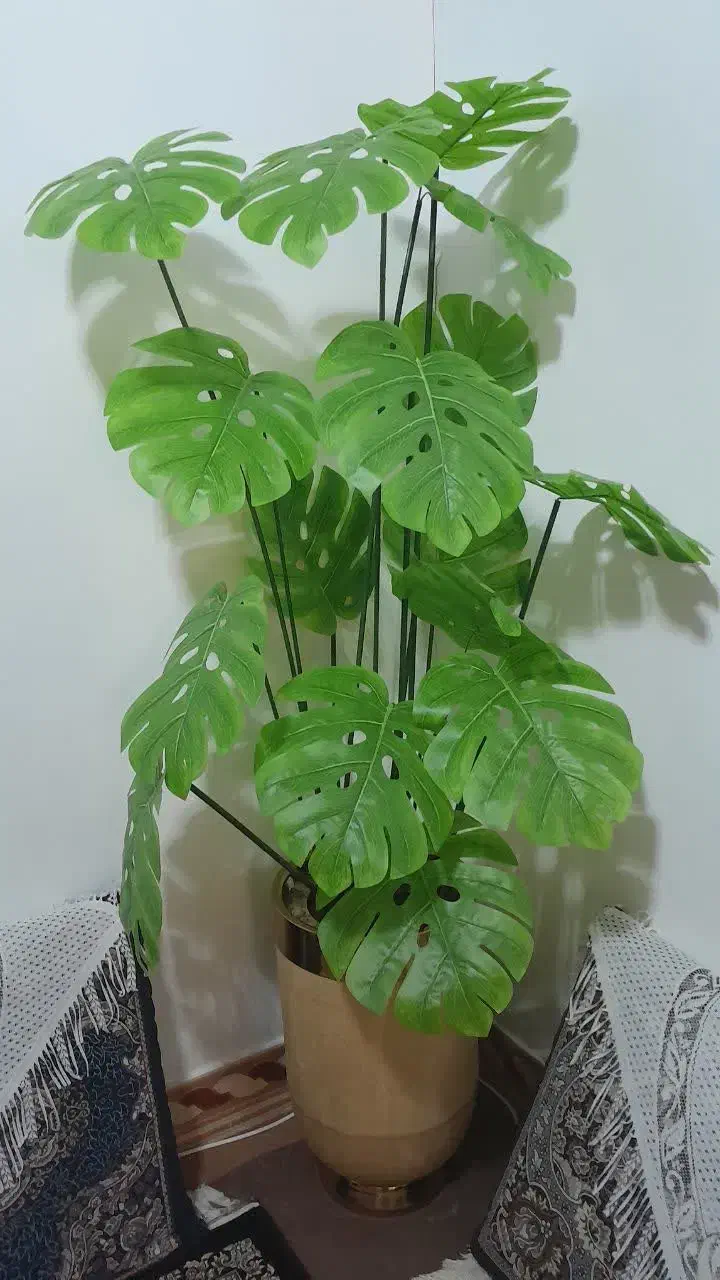 گل گلدان وگل گلدان فایبرگلاس مخملی بابرگ انجیری|گل مصنوعی|رودسر, |دیوار