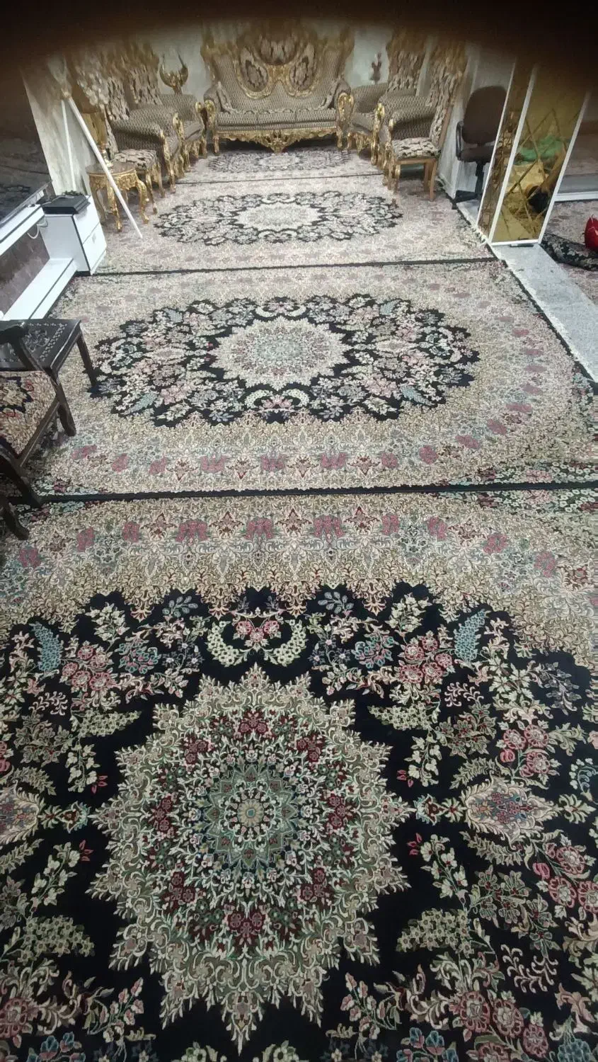 5عدد فرش هم‌گل 12 متری|فرش|جیرفت, |دیوار