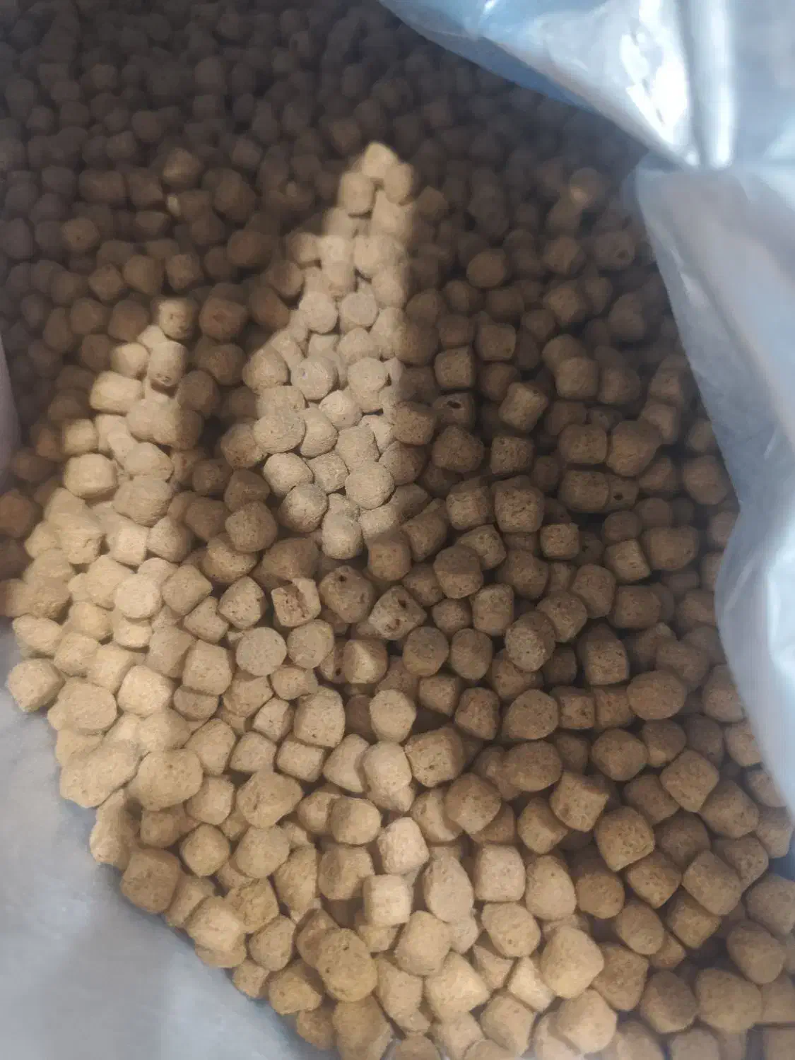 مقداری غذای خشک سگ و جای دستشویی سگ موجوده|لوازم جانبی حیوانات|اهواز, شهرک برق|دیوار