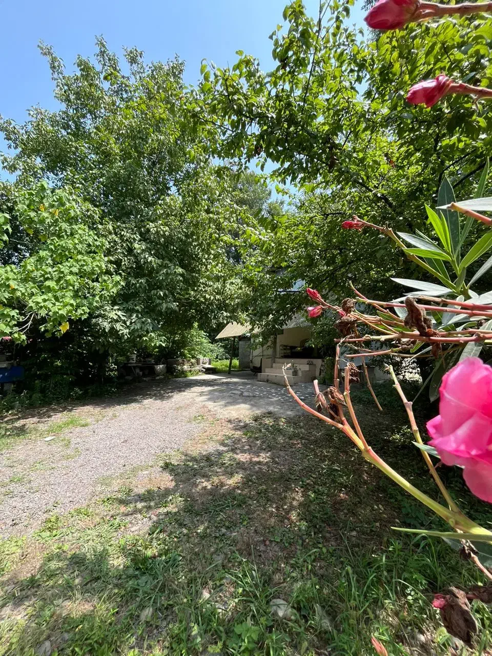 فروش خانه ویلایی ۸۵ متری ۲ خوابه در سعدی (تختی)|فروش خانه و ویلا|رشت, سعدی (تختی)|دیوار