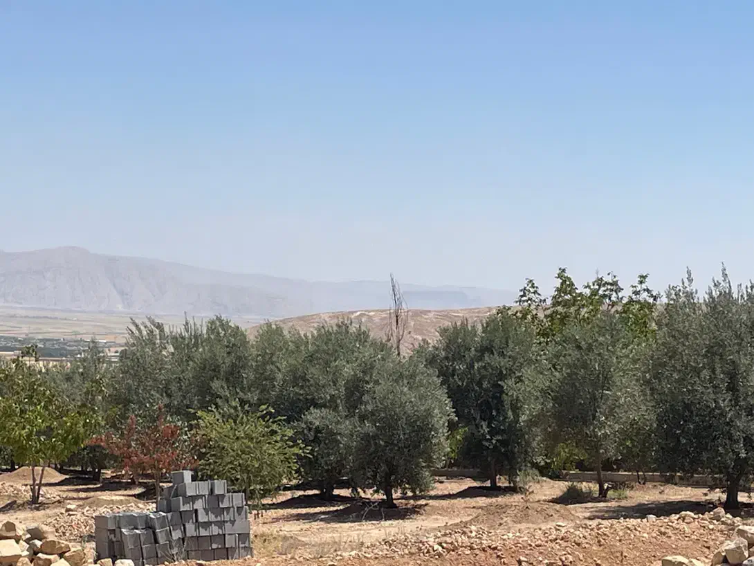 باغچه ۴۰۰۰متری ملوسجان|فروش زمین و ملک کلنگی|شیراز, قصرالدشت|دیوار
