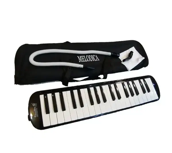 ملودیکا ۳ اکتاو|سازهای بادی|مسجد سلیمان, |دیوار