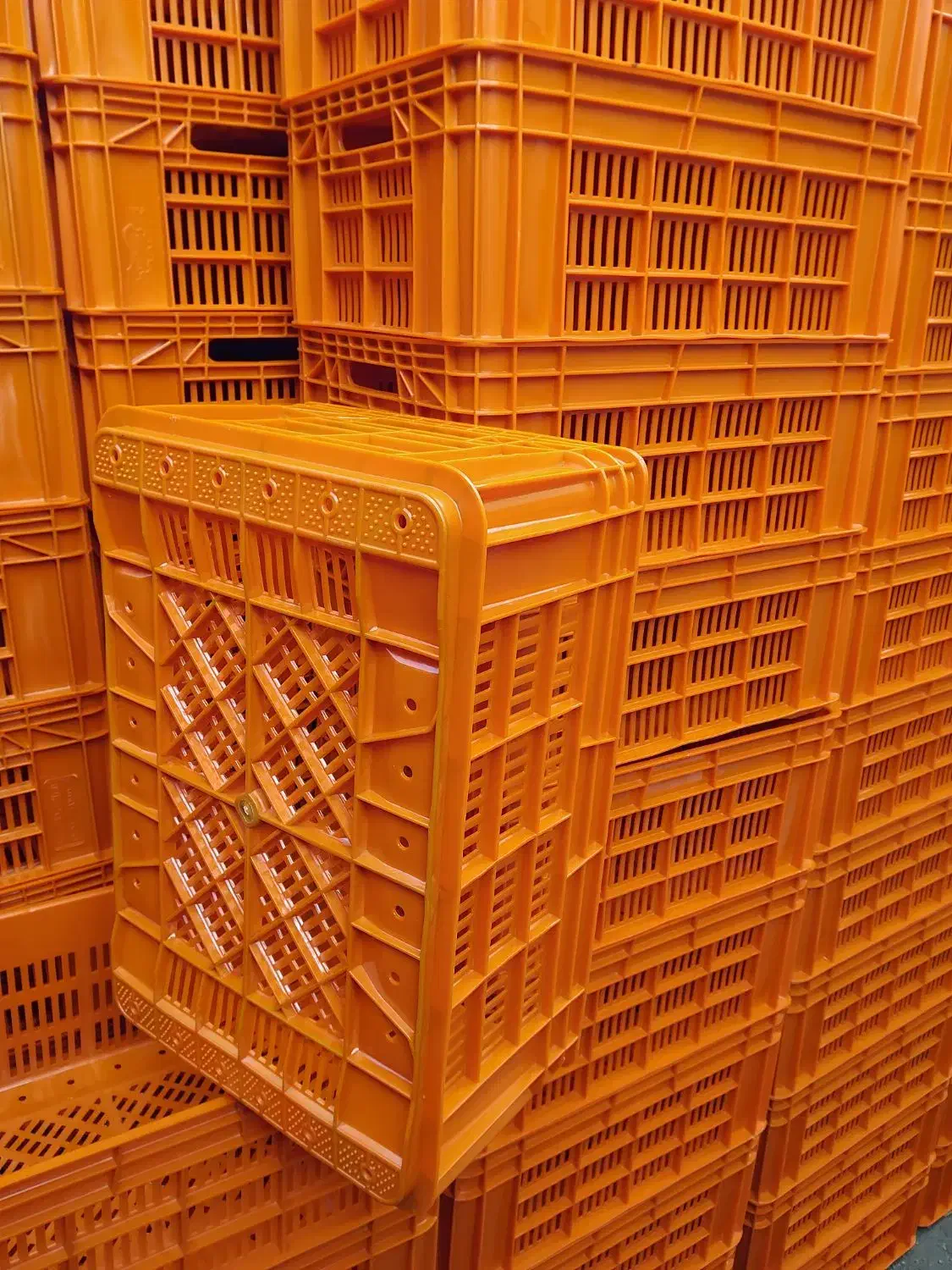 جعبه باکس سبدی|عمده‌فروشی|قم, بکایی|دیوار