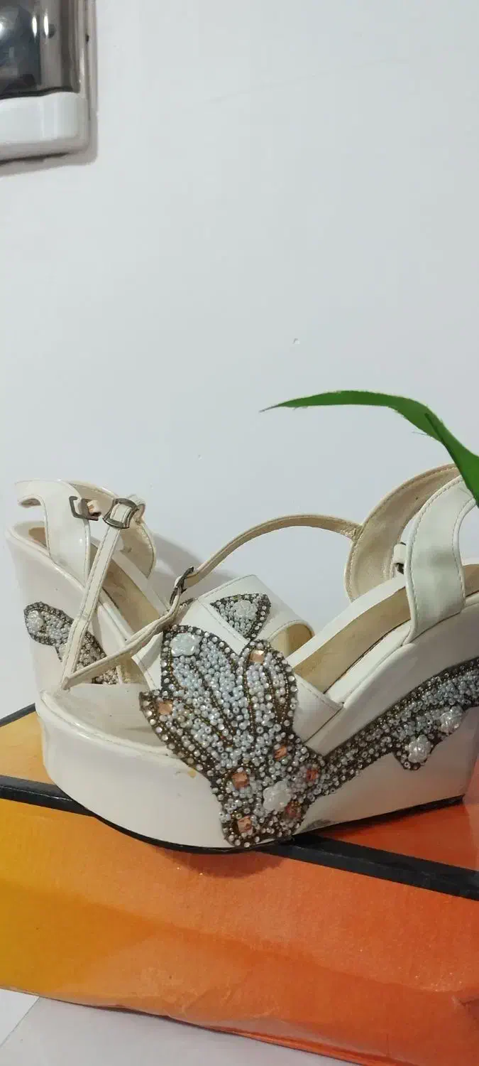 کفش مجلسی|کیف، کفش، کمربند|کرمان, |دیوار