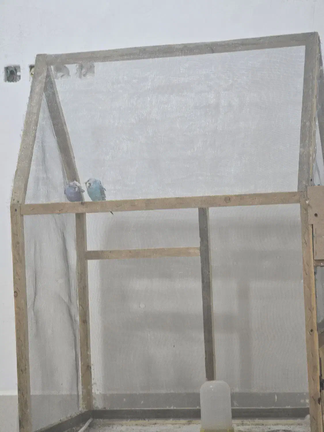 قفس|لوازم جانبی حیوانات|سراوان, |دیوار