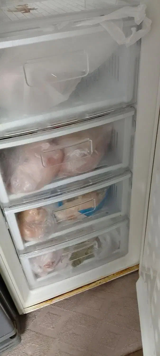 فریزر سامسونگ|یخچال و فریزر|ری, علایین|دیوار