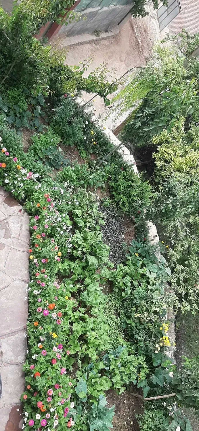 اجاره خونه ویلائی|اجارهٔ خانه و ویلا|شهمیرزاد, |دیوار