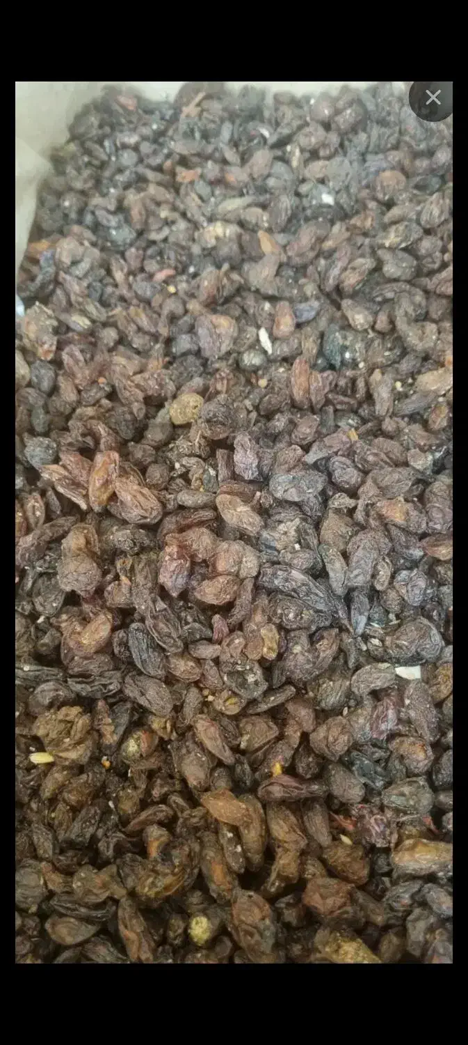 کشمش افتاب خشک ، جریانی|خوردنی و آشامیدنی|خرمشهر, |دیوار