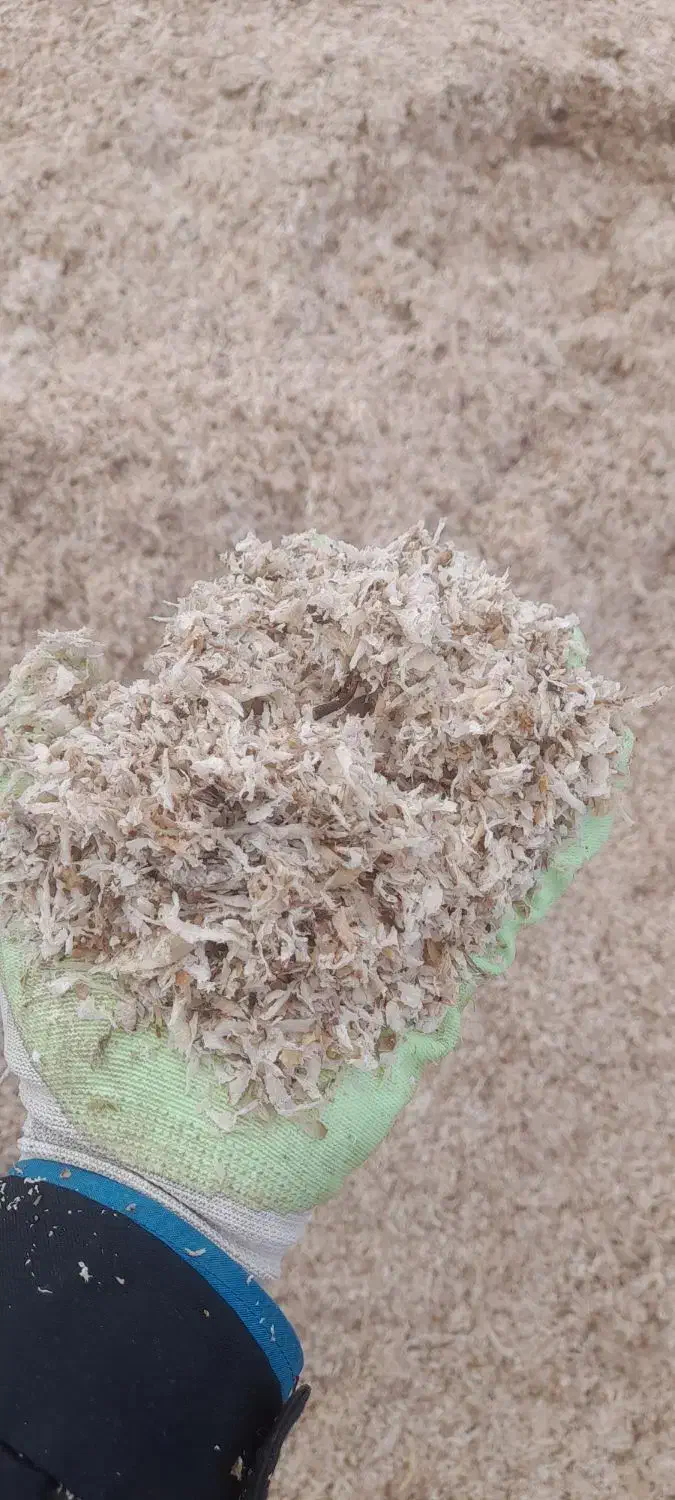 تلیف تازه|عمده‌فروشی|اردبیل, |دیوار