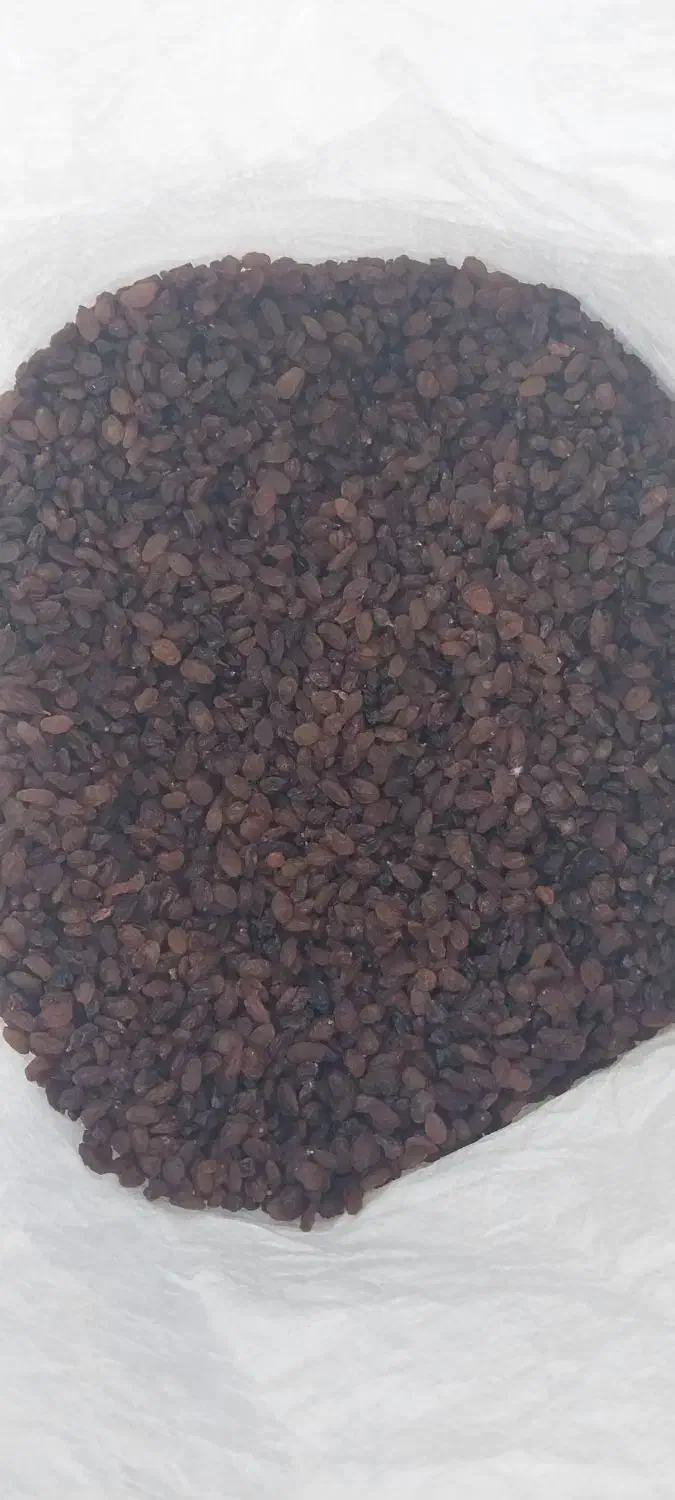 فروش کشمش انگور عسکری|خوردنی و آشامیدنی|ساوه, |دیوار