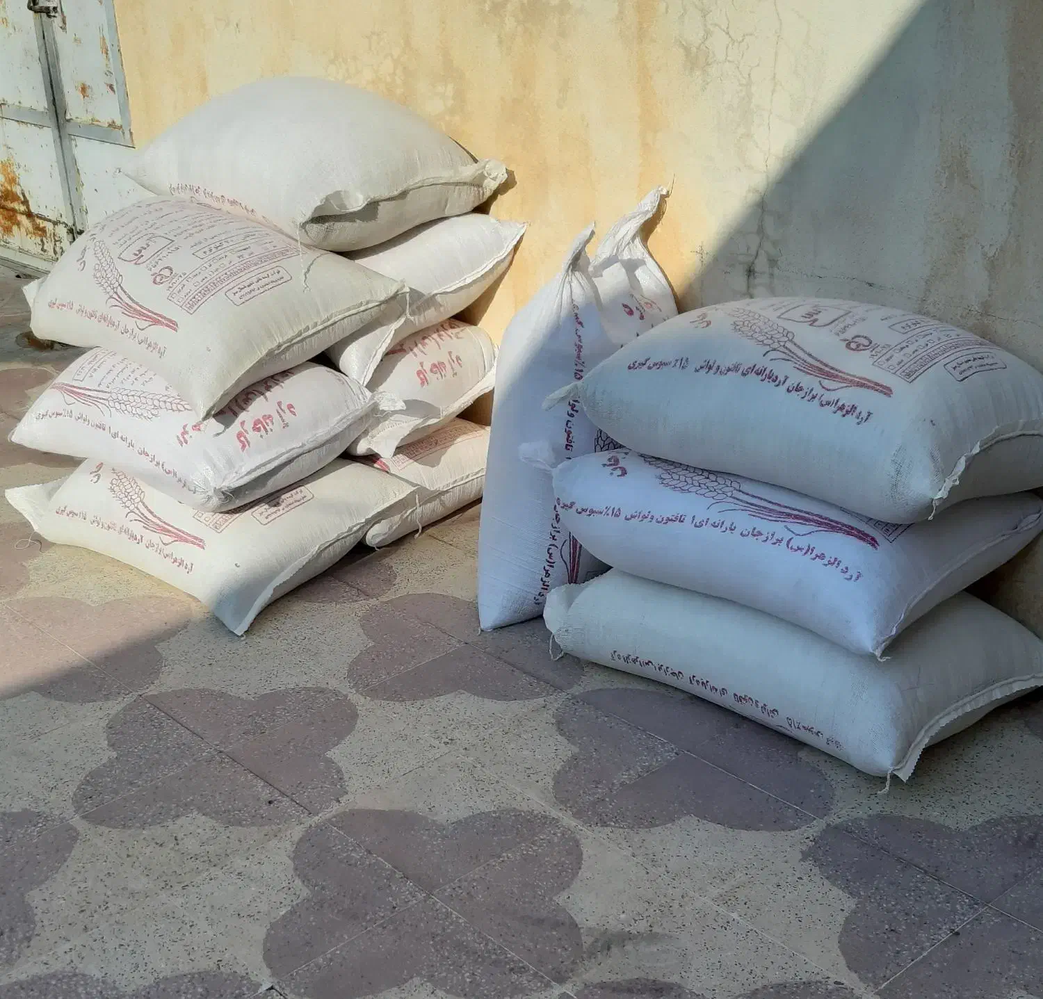 جو دولتی|لوازم جانبی حیوانات|کوه چنار, |دیوار