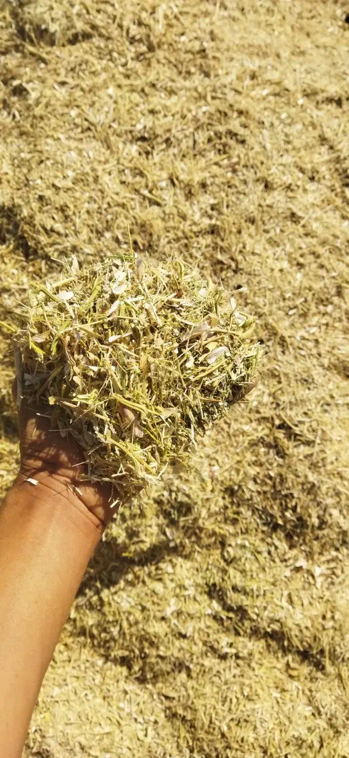 کاه لوبیا درجه یک|لوازم جانبی حیوانات|کبودرآهنگ, |دیوار