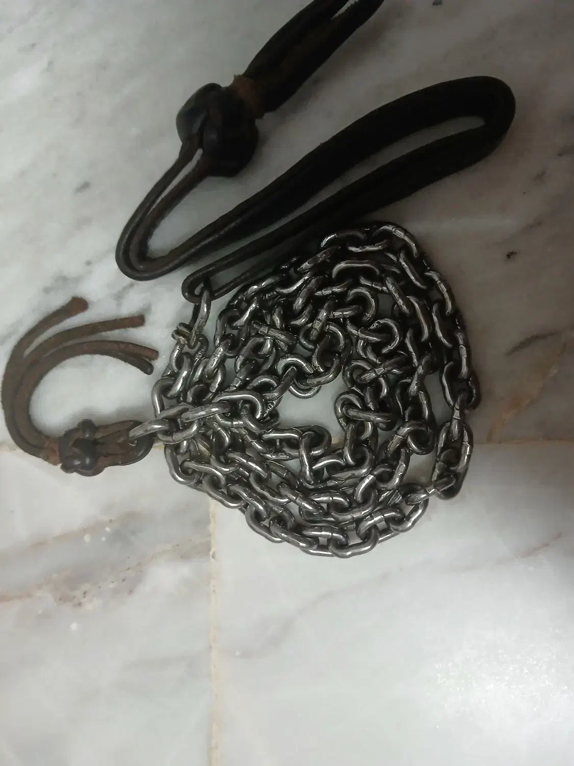 زنجیر اردکانی|اسب و تجهیزات اسب‌سواری|برخوار, |دیوار