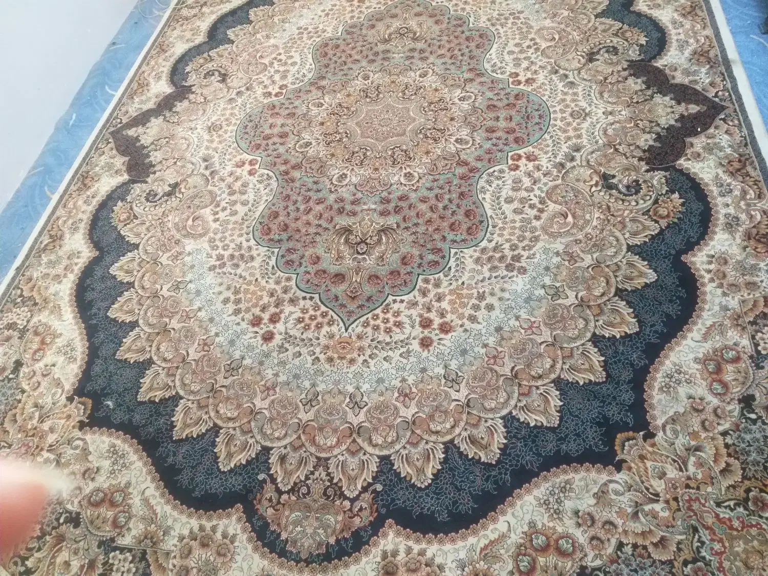 فرش سرمه ای|فرش|زنجان, |دیوار