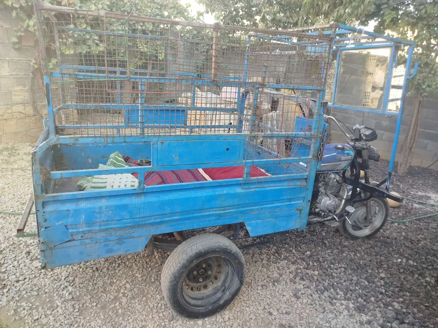 متور 3چرخه|موتورسیکلت|لردگان, |دیوار