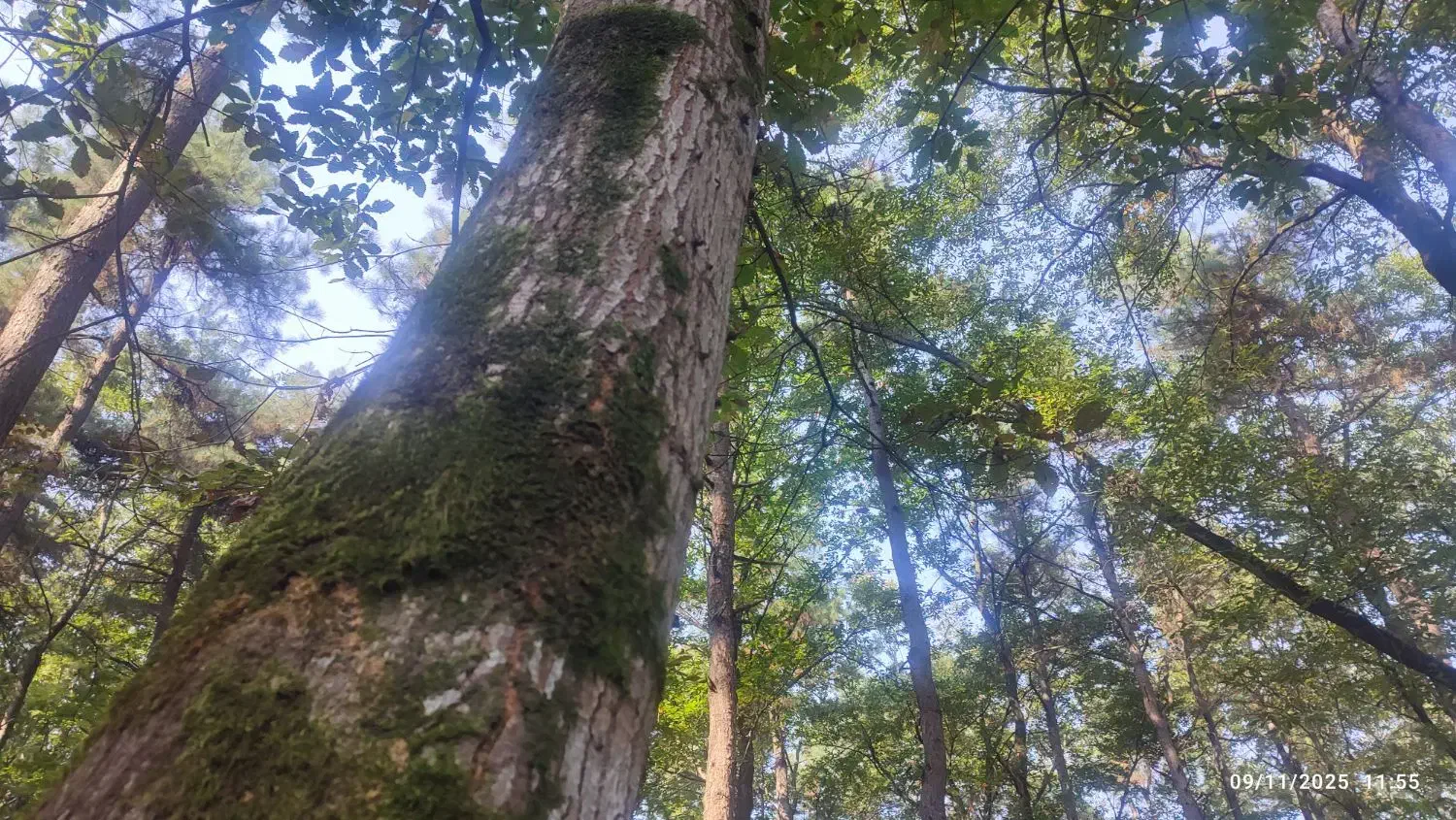 راهنمایی|فعالیت داوطلبانه|رشت, لاکان|دیوار