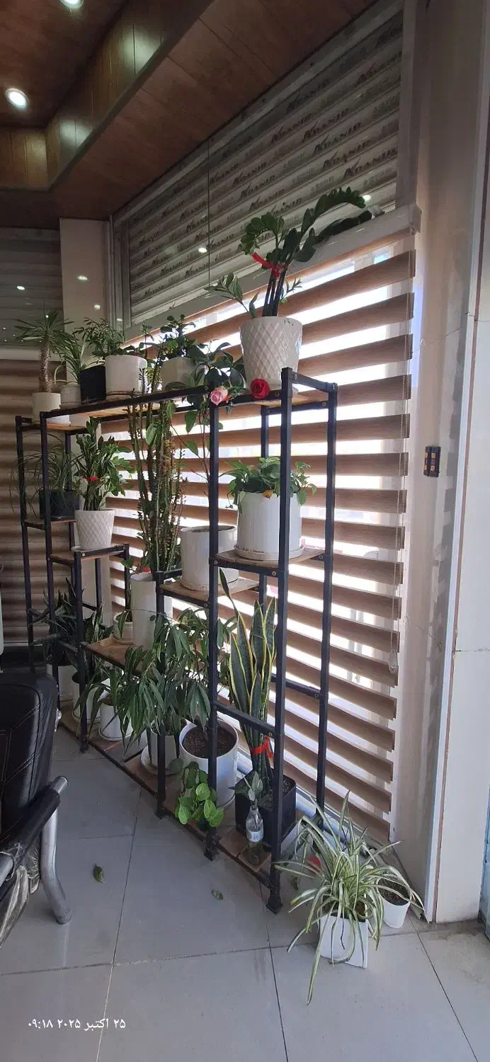 فروش مجموعه گل و گلدان و استند|گل و گیاه طبیعی|لردگان, |دیوار