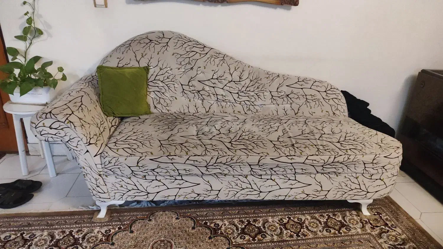 مبل۷نفره|مبلمان خانگی و میز عسلی|رشت, کاکتوس|دیوار