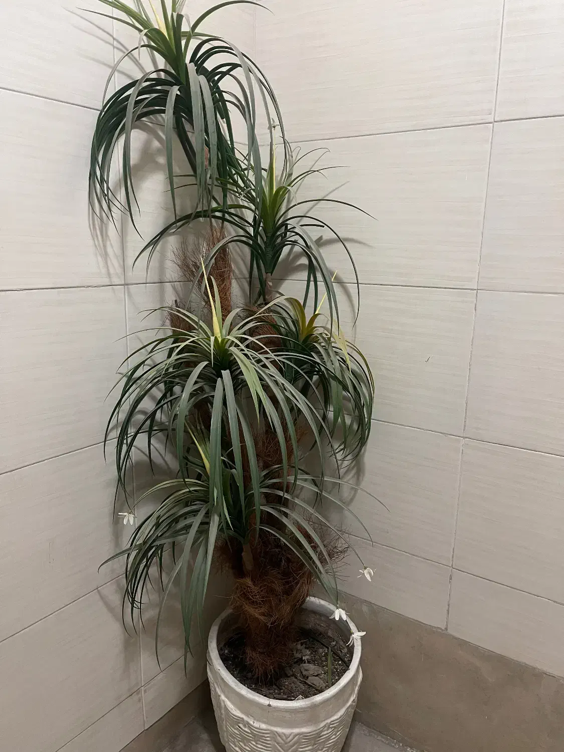 درختچه مصنوعی|گل مصنوعی|تهران, قنات‌کوثر|دیوار