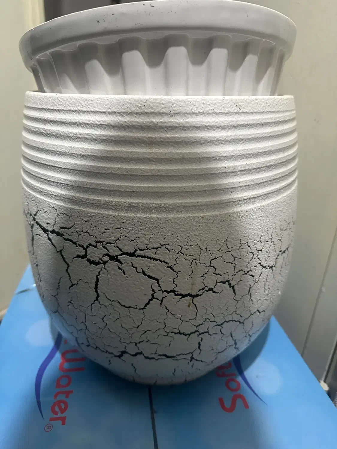 گلدون و پایه|گل و گیاه طبیعی|کرج, گوهردشت|دیوار