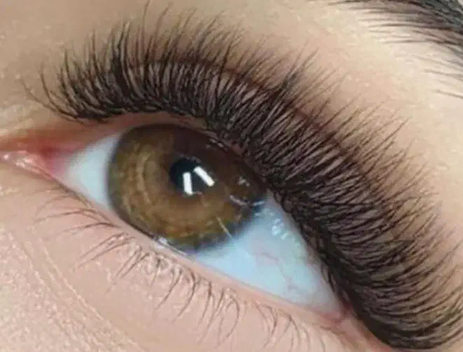 کاشت گیاهی تخفیف۳۰٪|خدمات آرایشگری و زیبایی|سنندج, |دیوار