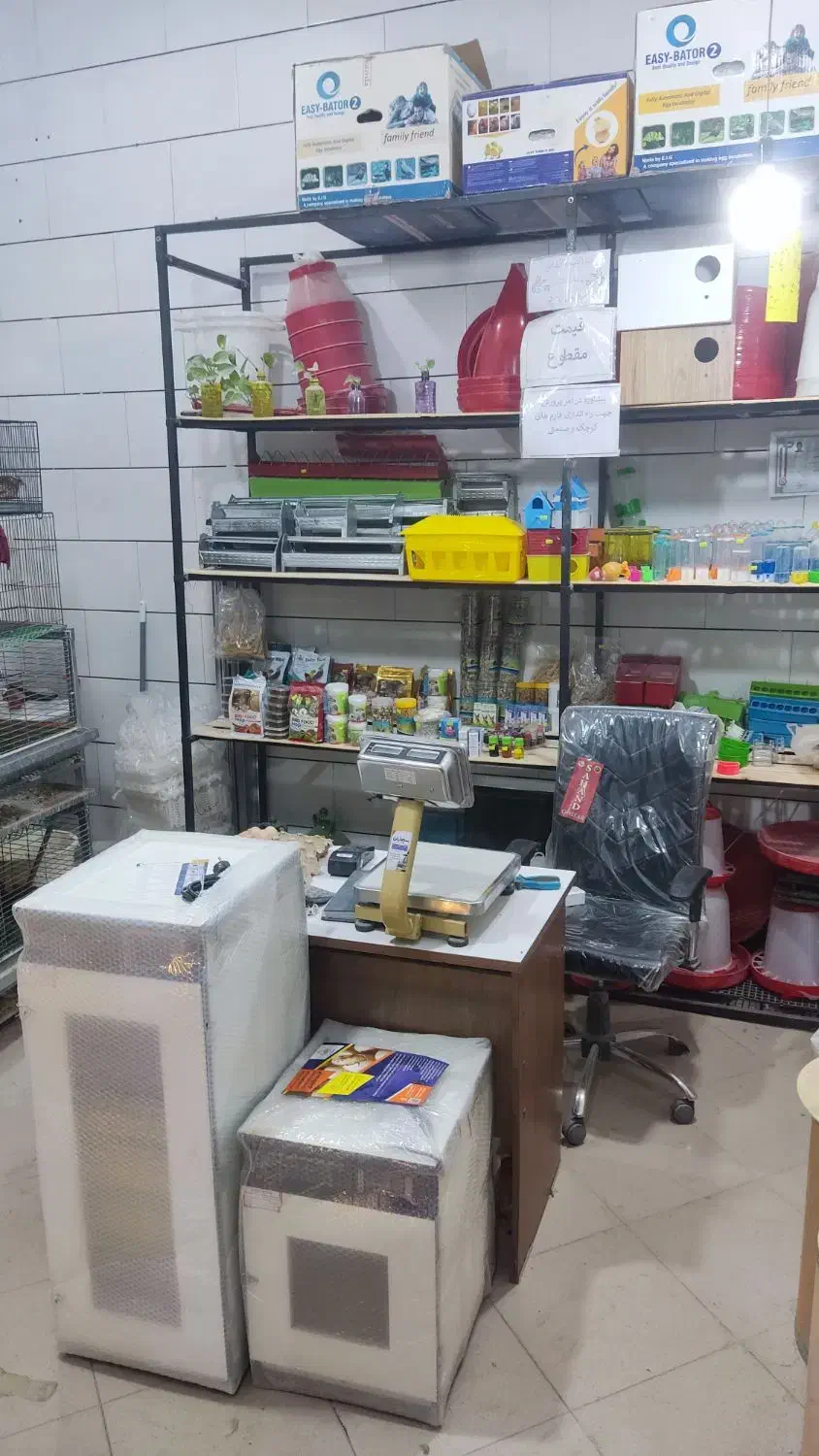 نمایندگی دستگاه جوجه کشی هدایت درسمنان|لوازم جانبی حیوانات|سمنان, |دیوار